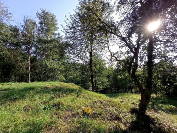 Prodej pozemku pro bydlení, Dubá - Korce, 8483 m2