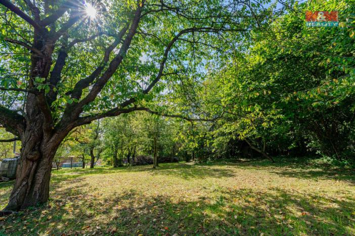 Prodej pozemku pro bydlení, Červená Řečice, 1043 m2