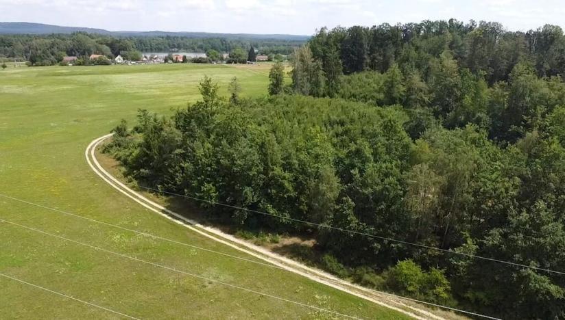 Prodej zemědělské půdy, Chlum u Třeboně - Žíteč, 130000 m2