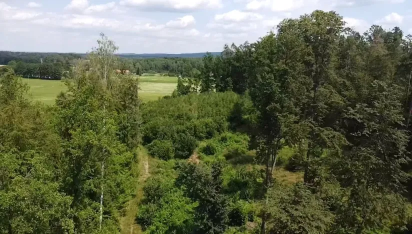 Prodej pole, Chlum u Třeboně - Žíteč, 130000 m2