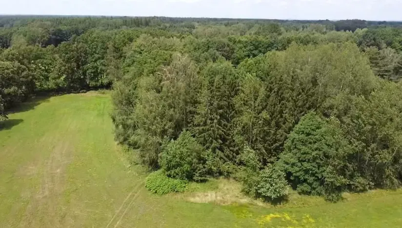 Prodej pole, Chlum u Třeboně - Žíteč, 130000 m2