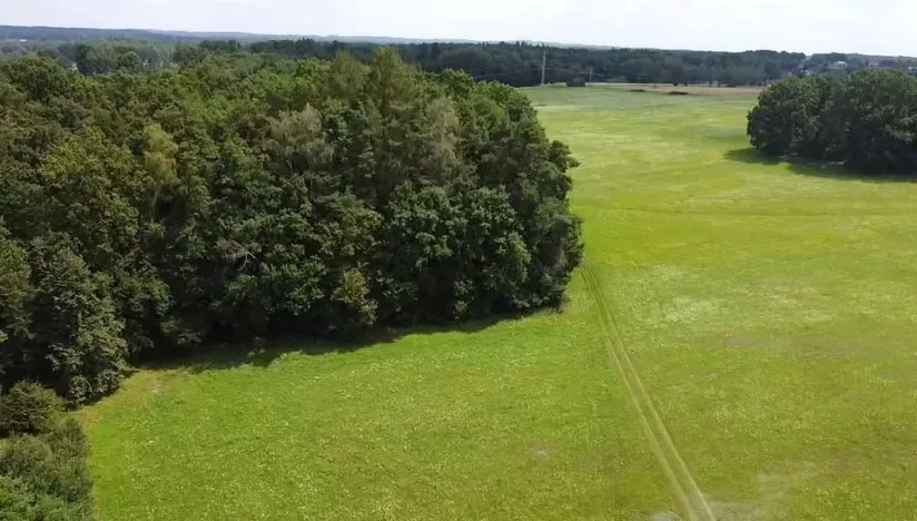 Prodej pole, Chlum u Třeboně - Žíteč, 130000 m2