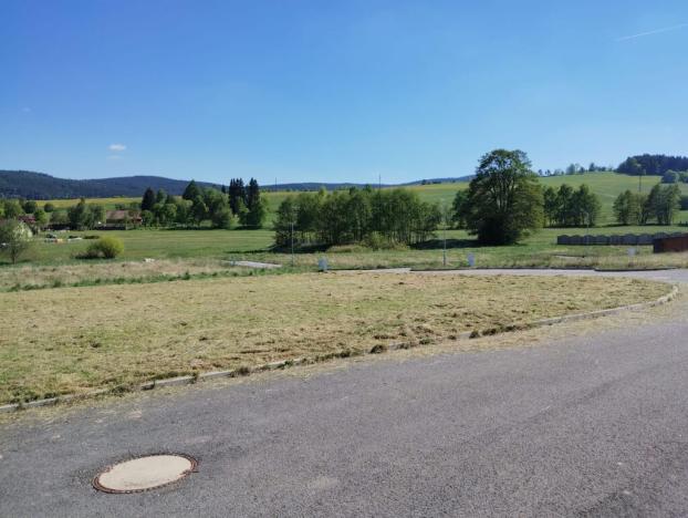 Prodej pozemku pro bydlení, Zdíkov, 1200 m2