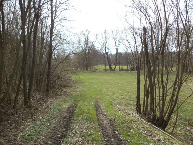 Prodej zemědělské půdy, Černíč - Slaviboř, 3516 m2