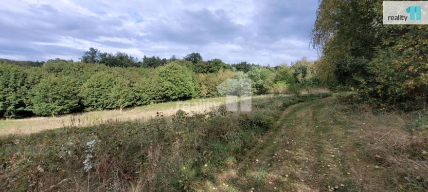 Prodej pozemku pro bydlení, Písek - Budějovické Předměstí, 576 m2