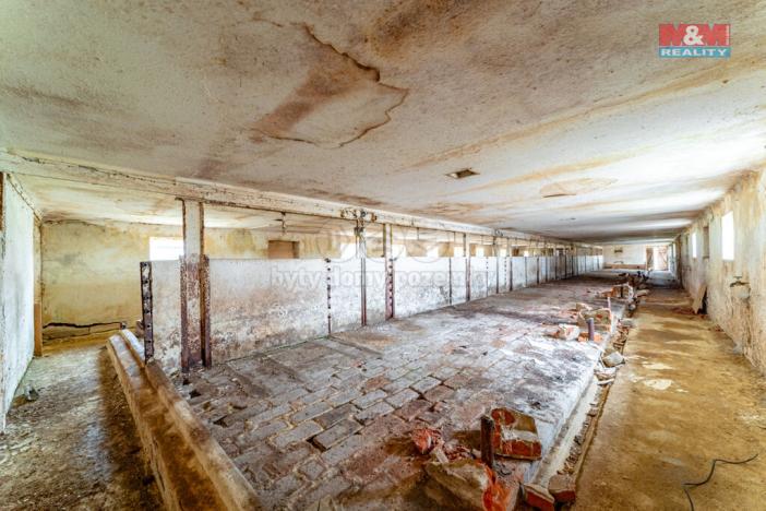 Prodej zemědělské usedlosti, Puclice - Malý Malahov, 600 m2