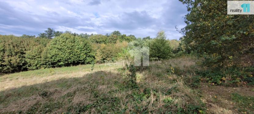 Prodej pozemku pro bydlení, Písek - Budějovické Předměstí, 5935 m2