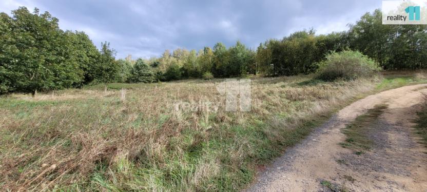 Prodej pozemku pro bydlení, Písek - Budějovické Předměstí, 5935 m2