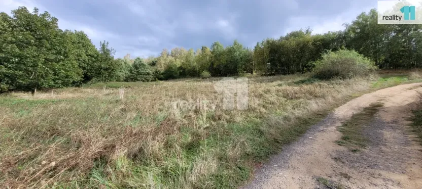 Prodej pozemku pro bydlení, Písek - Budějovické Předměstí, 5935 m2