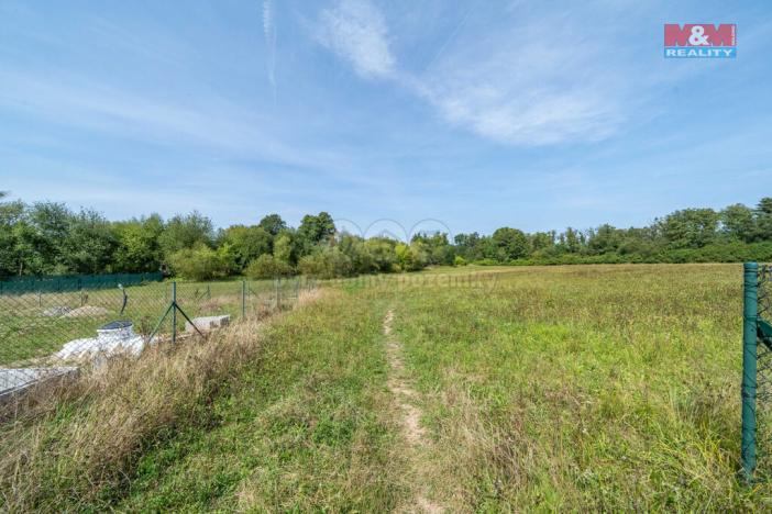 Prodej trvalého travního porostu, Mirošov, 2733 m2