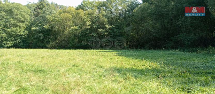 Prodej louky, Chyňava, 11196 m2