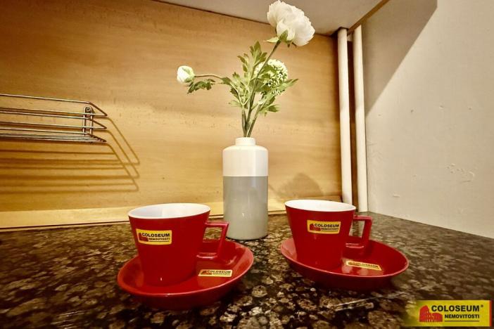 Prodej rodinného domu, Sebranice, 220 m2