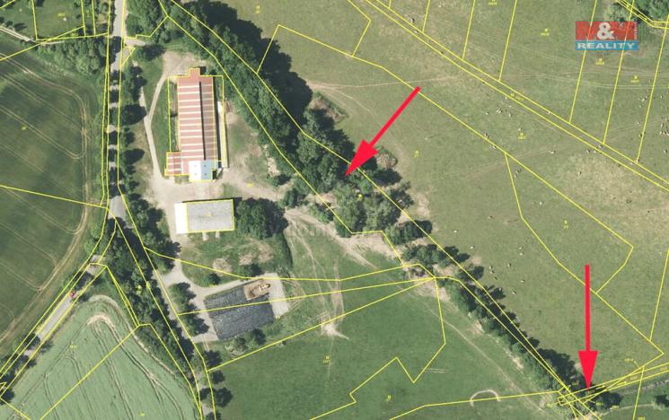 Prodej trvalého travního porostu, Dlažov, 3245 m2