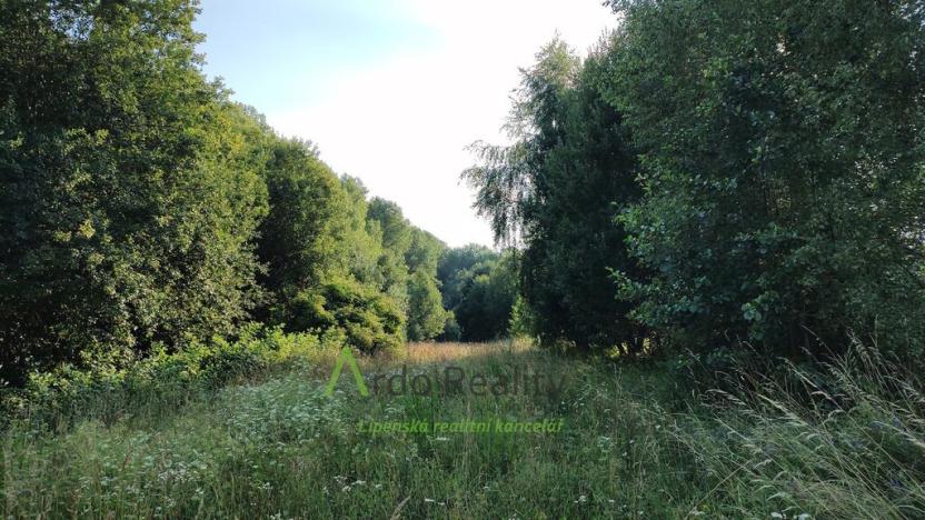 Prodej pozemku pro bydlení, Černá v Pošumaví, 2024 m2