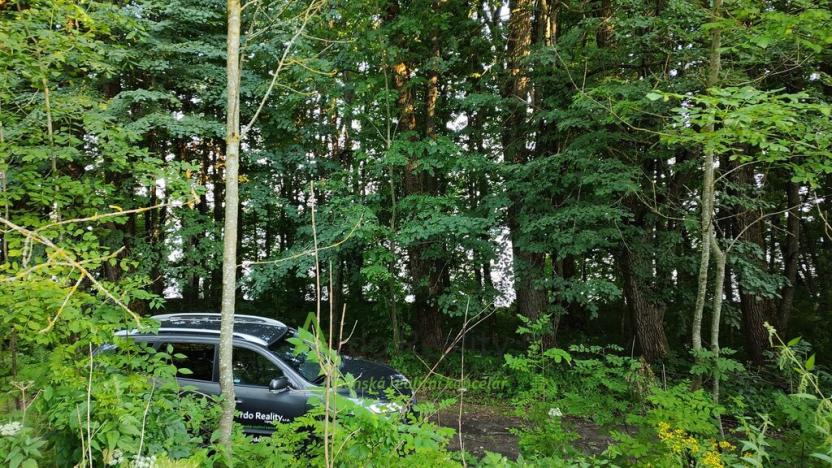 Prodej pozemku pro bydlení, Černá v Pošumaví, 2024 m2