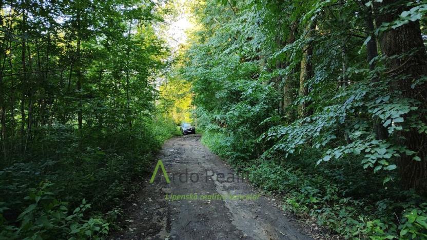 Prodej pozemku pro bydlení, Černá v Pošumaví, 2024 m2