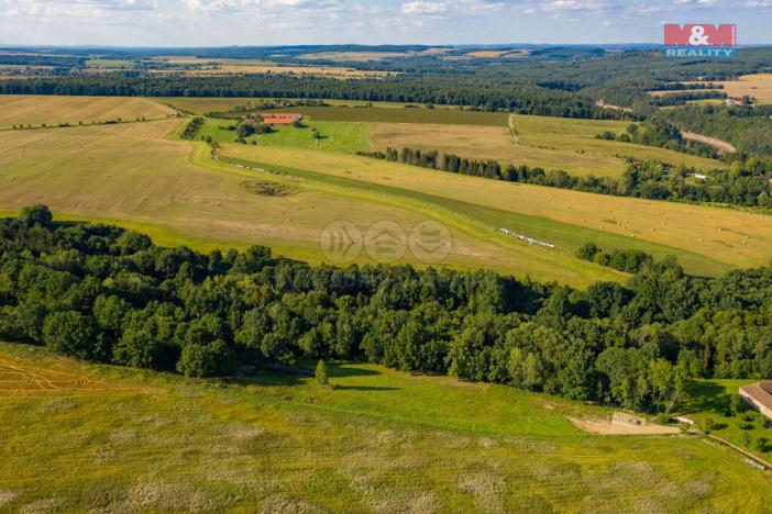 Prodej trvalého travního porostu, Albrechtice nad Vltavou - Hladná, 6183 m2