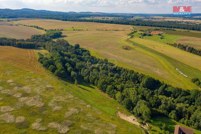 Prodej trvalého travního porostu, Albrechtice nad Vltavou - Hladná, 6183 m2