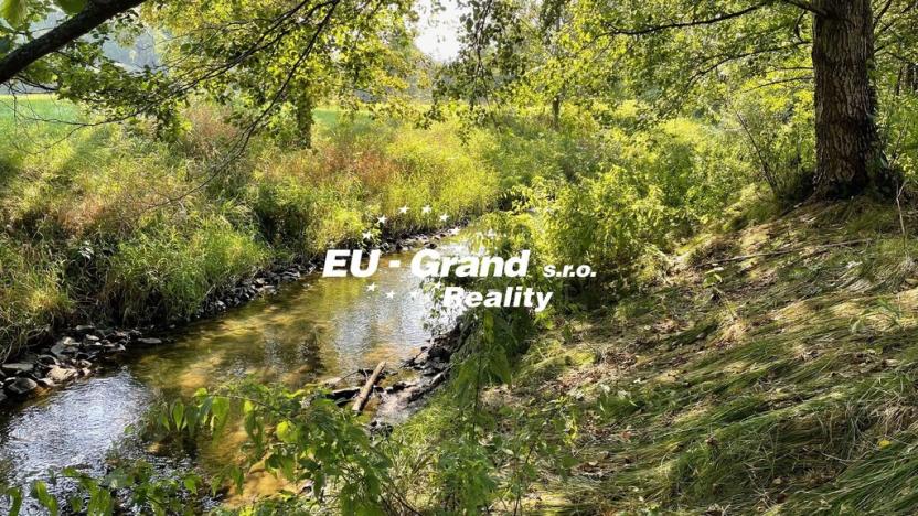 Prodej trvalého travního porostu, Šluknov, 14798 m2