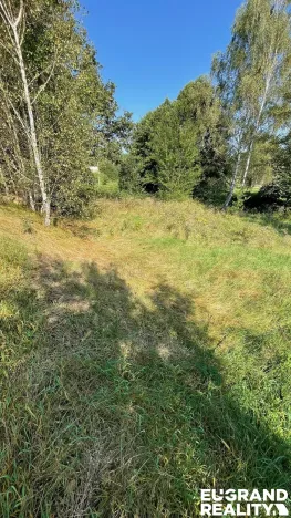 Prodej trvalého travního porostu, Šluknov, 14798 m2