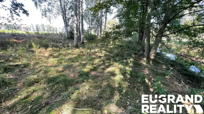 Prodej trvalého travního porostu, Šluknov, 14798 m2