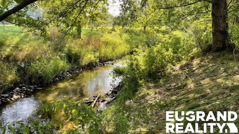 Prodej trvalého travního porostu, Šluknov, 14798 m2