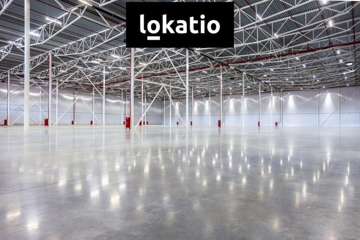 Pronájem výrobních prostor, Hladké Životice, 4000 m2