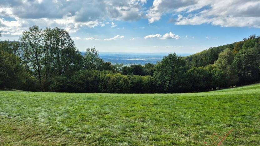 Prodej chalupy, Komorní Lhotka, 262 m2