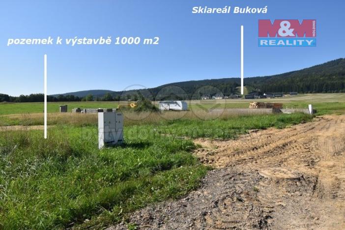 Prodej pozemku pro bydlení, Červená Voda, 1000 m2