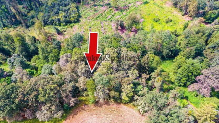 Prodej chaty, Jesenice - Osnice, 53 m2