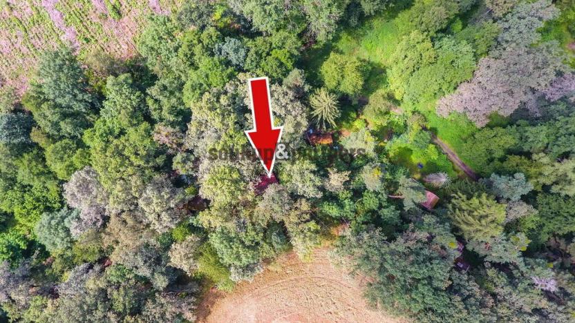 Prodej chaty, Jesenice - Osnice, 53 m2