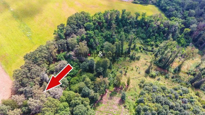 Prodej chaty, Jesenice - Osnice, 53 m2