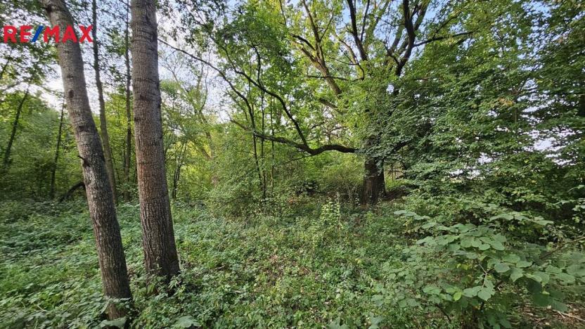 Prodej zahrady, Roudné, 2997 m2