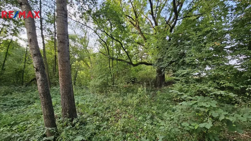 Prodej zahrady, Roudné, 2997 m2