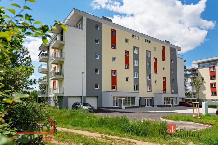 Prodej bytu 1+1, Nová Role, Svobodova, 49 m2