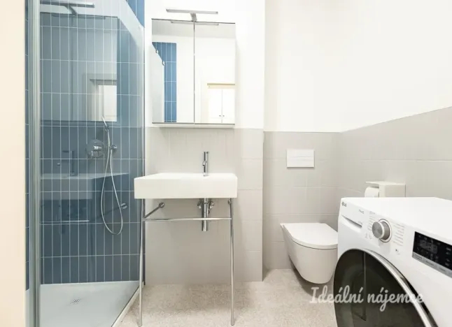 Pronájem bytu 1+kk, Praha - Žižkov, Sudoměřská, 33 m2