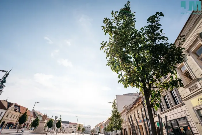 Pronájem bytu 2+kk, Třebíč, Karlovo nám., 60 m2