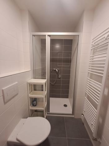 Pronájem bytu 1+kk, Pardubice - Pardubičky, Nová Tesla, 24 m2