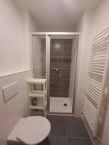 Pronájem bytu 1+kk, Pardubice - Pardubičky, Nová Tesla, 24 m2