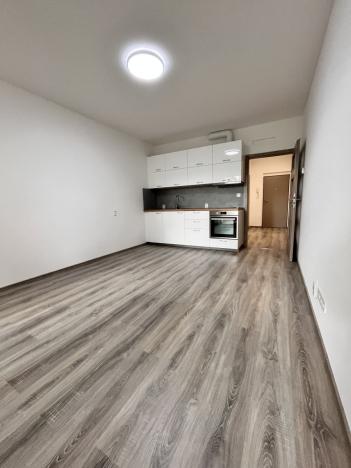 Pronájem bytu 1+kk, Olomouc, Frištenského, 33 m2