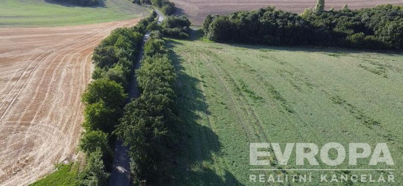 Prodej pozemku pro bydlení, Kolín, 7000 m2