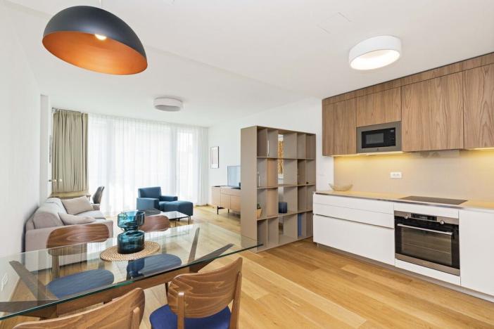 Pronájem bytu 2+kk, Praha - Smíchov, Holečkova, 78 m2