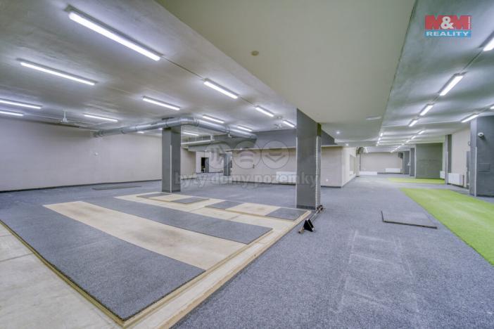 Pronájem obchodního prostoru, Plzeň - Bolevec, Gerská, 845 m2