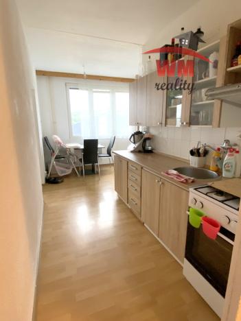 Pronájem bytu 2+1, Karlovy Vary - Drahovice, Gagarinova, 62 m2