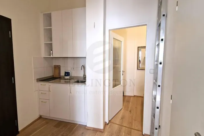 Pronájem bytu 2+kk, Praha - Vinohrady, Šafaříkova, 39 m2