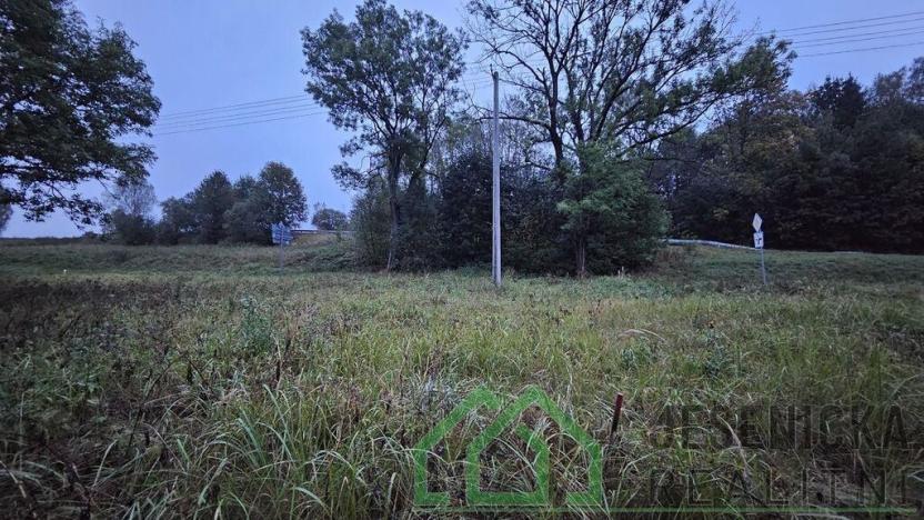 Prodej pozemku pro bydlení, Město Libavá, Náměstí, 822 m2