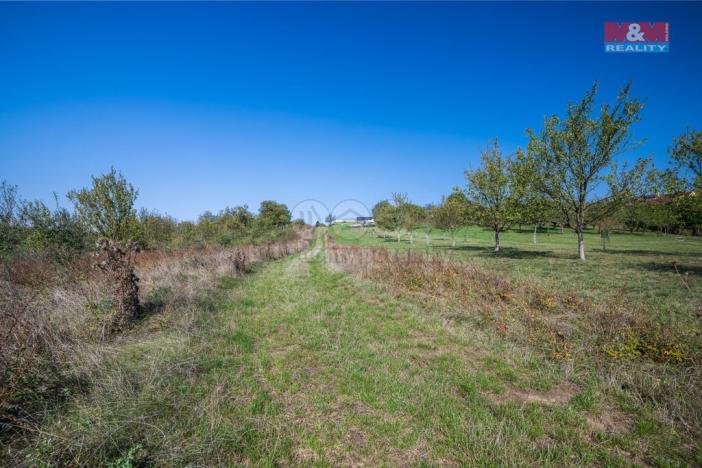 Prodej pozemku pro bydlení, Mistřice - Javorovec, 4567 m2