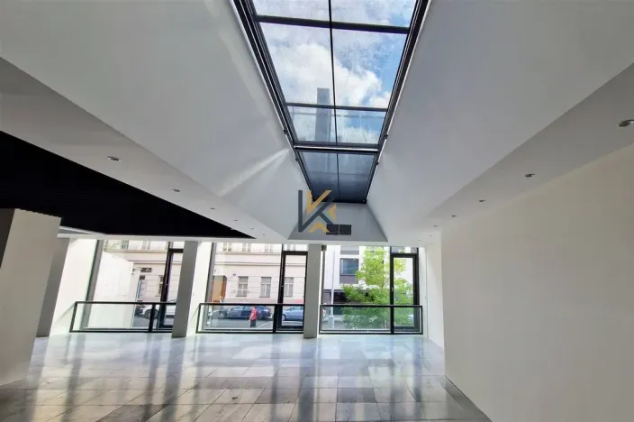 Pronájem kanceláře, Praha - Smíchov, Holečkova, 345 m2