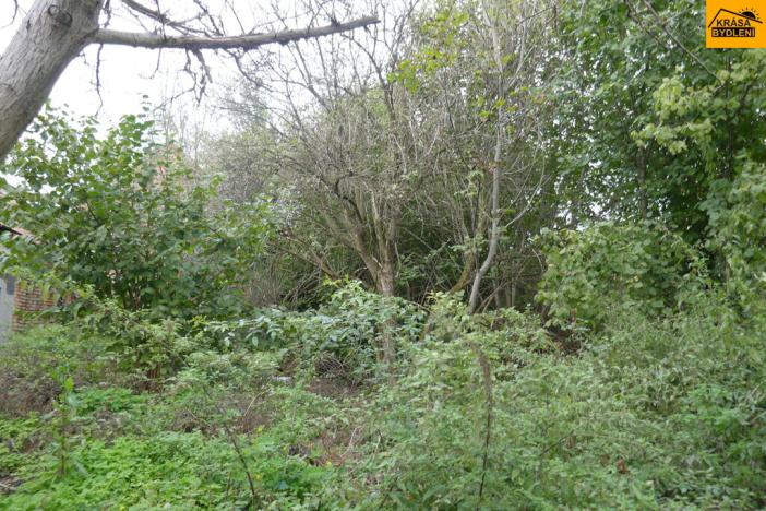 Prodej chalupy, Nemotice, 149 m2