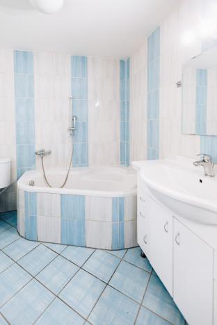 Prodej bytu 2+kk, Praha - Nové Město, Wenzigova, 85 m2